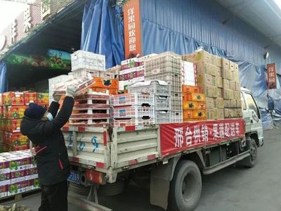 邢台市供销合作社全力保障春节期间物资供应——提升干鲜果品供给能力